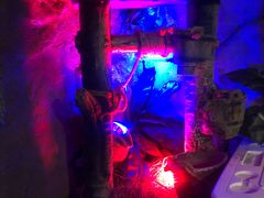 -醉小酒馆·川菜·江湖菜·重庆菜(观音桥旗舰店)