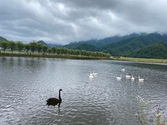 -大九湖