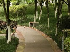 -龙头寺公园