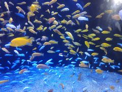 -成都浩海立方海洋公园