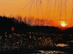 -东郊湿地公园