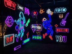 -祥源·阜阳生态乐园