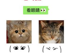 -lincat·猫舍(广州店)