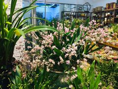 -双季花艺园艺市场(浦东店)