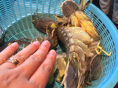 -班赞海鲜市场