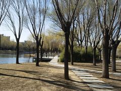 -中关村生命科学园