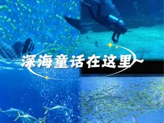 -烟台海昌鲸鲨海洋公园