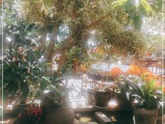 -海韵人家.海景花园经典云南菜(双廊店)