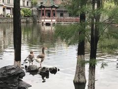 -东莞市可园博物馆