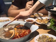 -青瓷火锅料理(西单大悦城店)