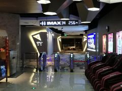 -星河寰宇IMAX影城(星河WORLD·COCO Park店)