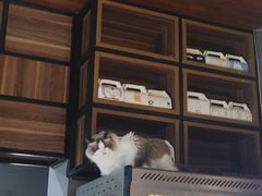 -咖法森林·咖啡  酒吧(天河店)