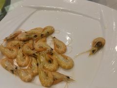 -大东海海鲜酒楼(渔人码头总店)