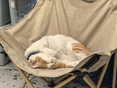 -小半有礼(天河南店)