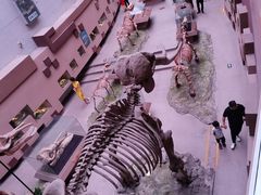 -陕西自然博物馆