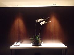 iphone_upload_pic-马哥孛罗香港酒店