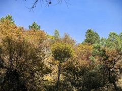 -茅兰沟国家森林公园