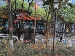 -锦城印象火锅(天府三街店)
