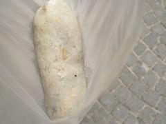 -殷姐糯米包油条
