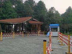 -铁山坪森林公园