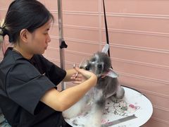 -FAELING PETS美天灵宠物(合生汇店)