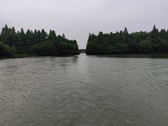 -西湖外事游船(花港观鱼码头)