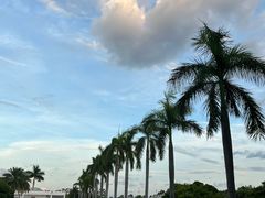 -厦门国家会计学院