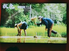 -秋色客家菜(南山店)