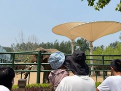 -秦皇岛野生动物园