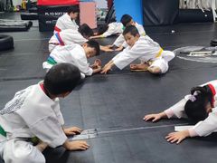 -金翼跆拳道巴西柔术拳击格斗学院