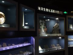 -正佳极地海洋世界