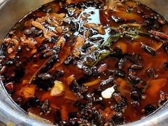 -晓彭肥肠鸡·泡椒鸡火锅(水木天地店)