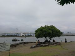 -台场海滨公园船码头