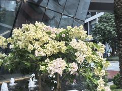 -KK ONE(京基滨河时代店)