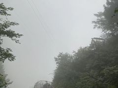 -鹿院坪生态旅游景区