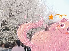 -武汉大学-樱园