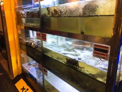 水产区-桥东喜碧海鲜街(水东街店)