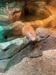 -酷嗒动物文化乐园(cutezoo西溪乐天城店)