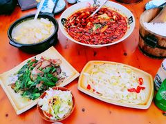 -青城甲(青城山店)