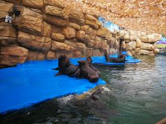 -华夏文旅西安度假区