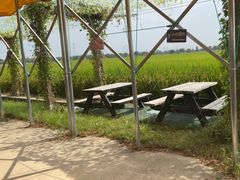 -嘉北郊野公园