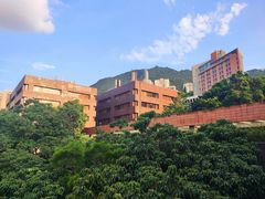 -香港大学