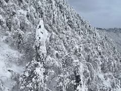 -西岭雪山大飞水景区