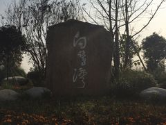 -白鹭湾湿地公园