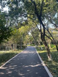 -玄武湖景区-情侣园游乐场
