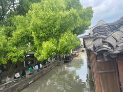 -乌镇东栅景区