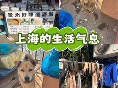 -上海特色小笼店(铁岭路90弄小区店)