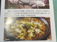 -肥鱼屯活鱼锅(惠工街店)