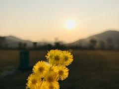 -白石龙音乐公园