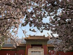 -故宫博物院(故宫)